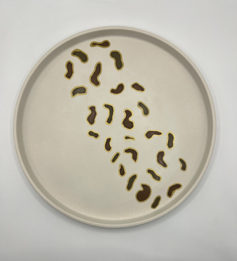 Taca dekoracyjna WILD